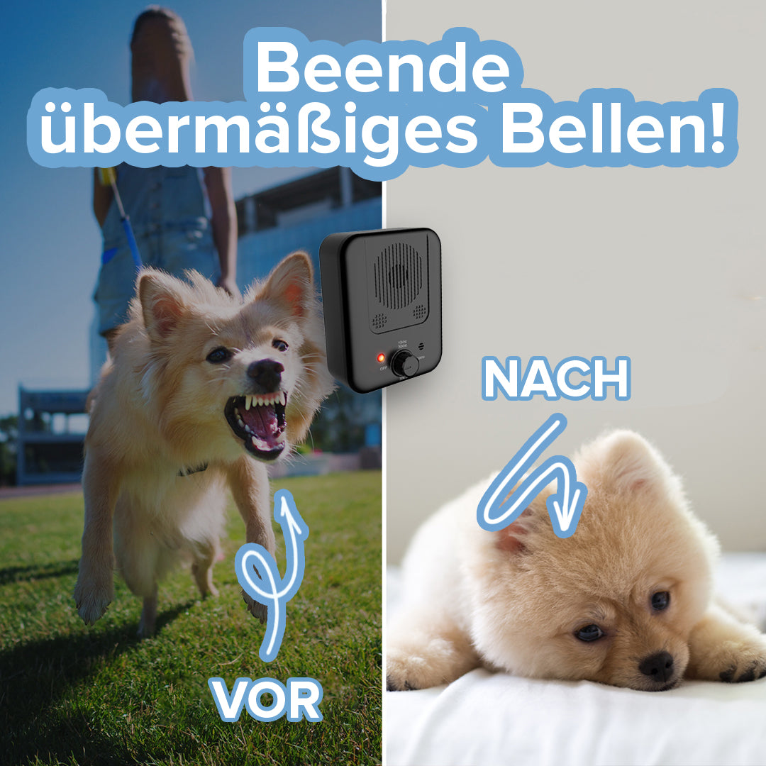 Schmerzfreie Anti-Bell-Vorrichtung - Hundeliebling