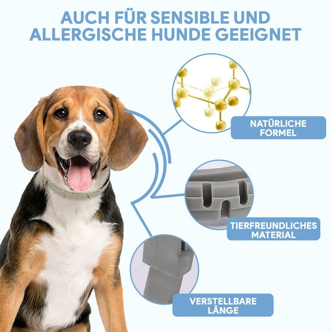 AntiZeckBand® V.2. - Floh und Zeckenabwehr für bis zu 8 Monate! - Hundeliebling
