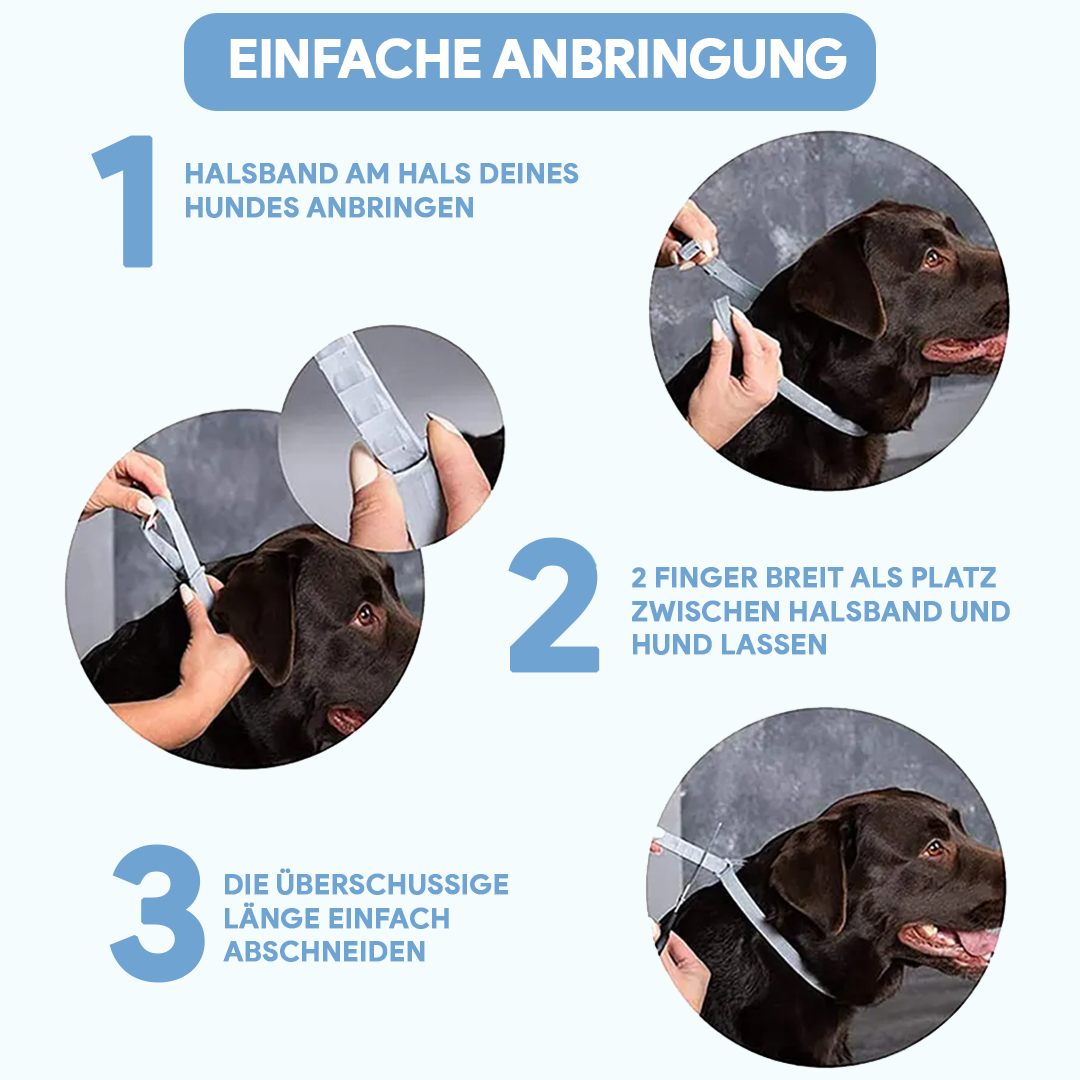 AntiZeckBand® V.2. - Floh und Zeckenabwehr für bis zu 8 Monate! - Hundeliebling