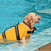 AquaTail™ Schwimmweste für Hunde - Hundeliebling