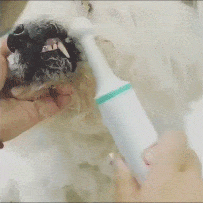 Hundeliebling™ Zahnbürste für Hunde - Hundeliebling