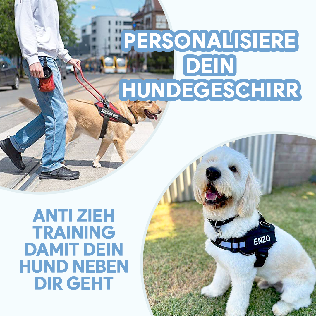 Personalisiertes Anti-Zug Hundegeschirr - Hundeliebling