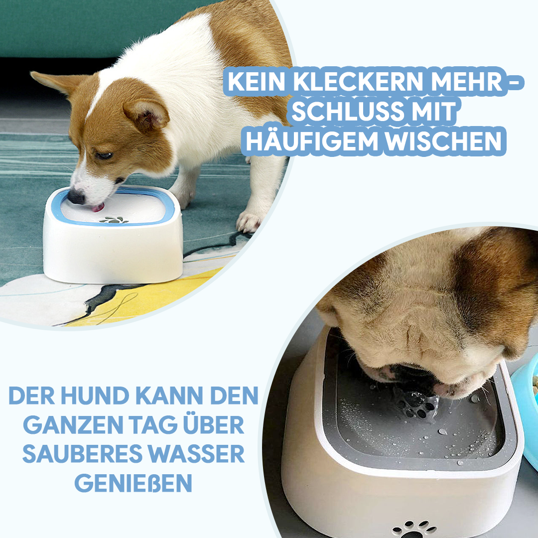Hundeliebling™ Trinkbrunnen für Hunde - Hundeliebling