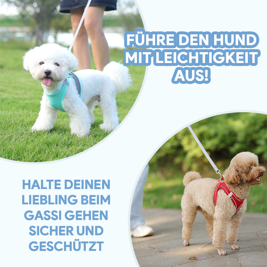 Hundeliebling™ Anti Zug Welpengeschirr - Hundeliebling