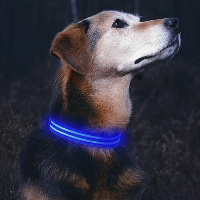 Hundeliebling™ LED Leuchthalsband - Hundeliebling