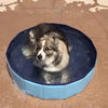 PawPool™ Hundepool - Hundeliebling