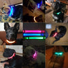 Hundeliebling™ LED Leuchthalsband - Hundeliebling